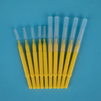 Sad896664bf004183a8558bbcd84e540bB